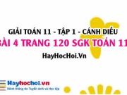 Giải bài 4 trang 120 Toán 11 tập 1 SGK Cánh Diều